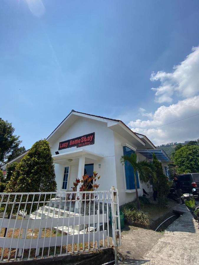 Villa Bromo Potato 2 Проболинго Екстериор снимка